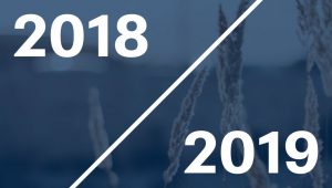 6) 2018-2019