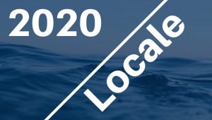3) 2020: Campanie alegeri locale